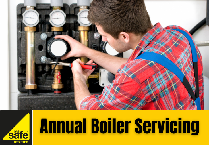 annual boiler servicing Sidcup